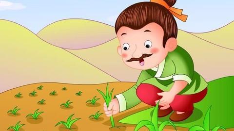 拔苗助长,探索农业发展中的适度干预之道