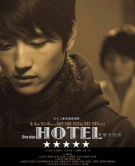五星大饭店,奢华背后的情感纠葛与人生抉择